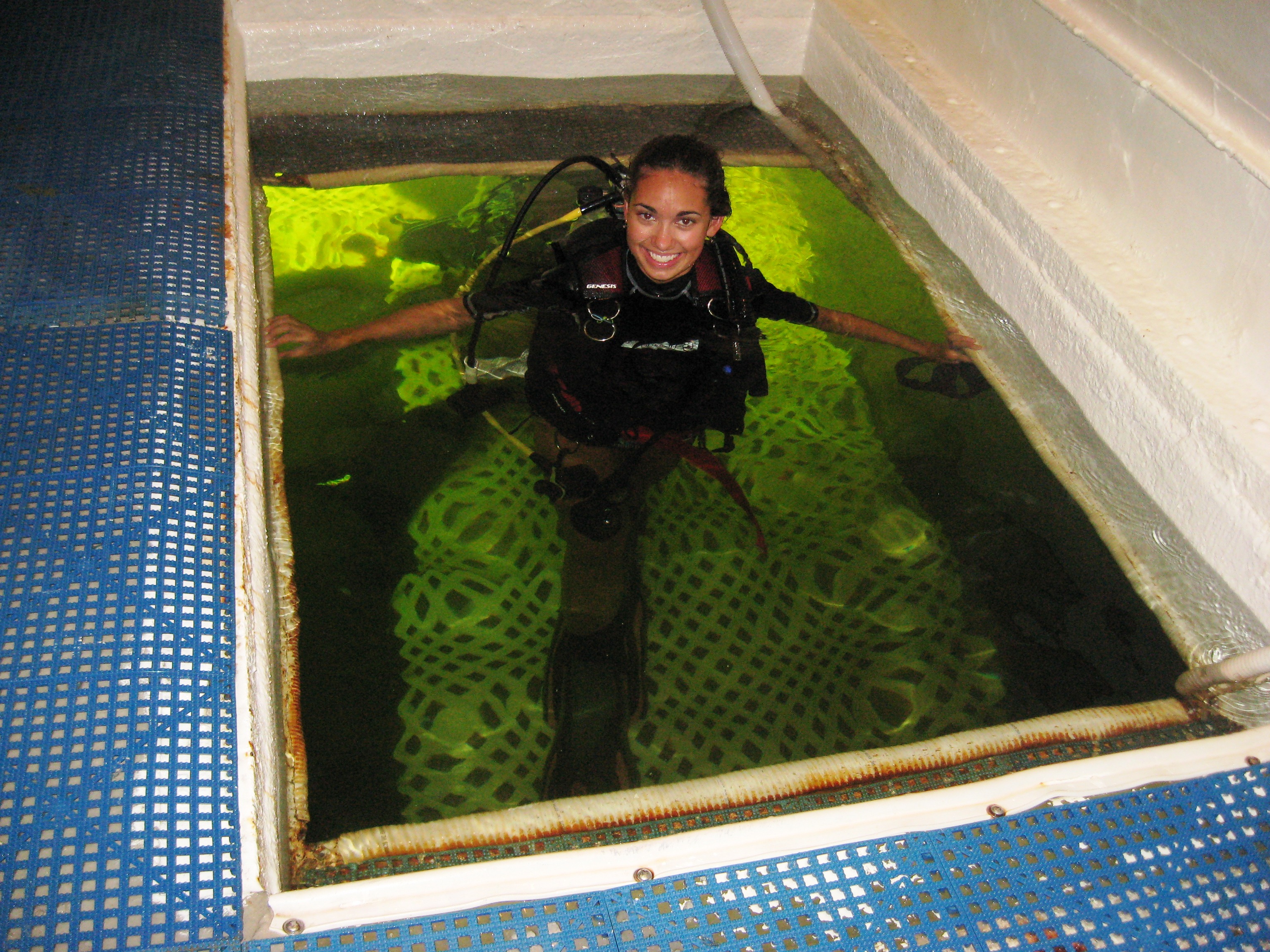 Jessica Fain (Epsilon Xi Chapter '11) Diving